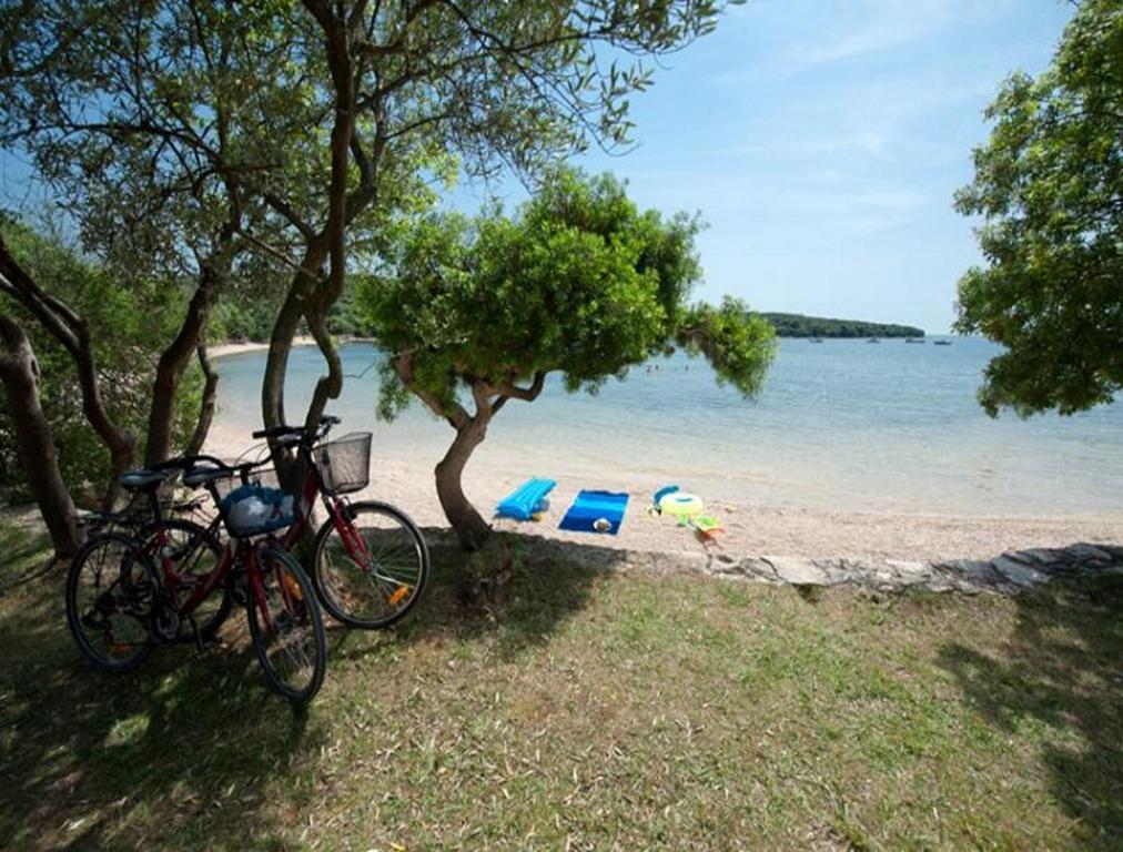 Apartamento Casa Leona Rovinj Exterior foto
